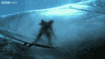 underwater GIF