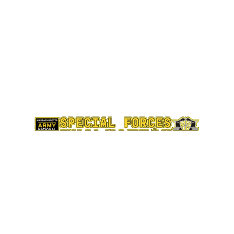 MANationalGuard giphygifmaker army national guard special forces Sticker
