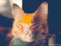 ziggy stardust animation GIF