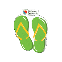 Fct Sticker by Fleming College Toronto