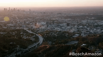 amazon episode 3 GIF by Bosch
