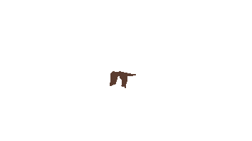 deabdil_official animation bird birds brown Sticker