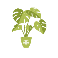 Plants Sticker by Grupo Quantum