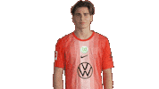 Three Points Win Sticker by VfL Wolfsburg