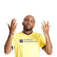 bancopichinchaperu chocolate farfan futbol peruano banco pichincha Sticker