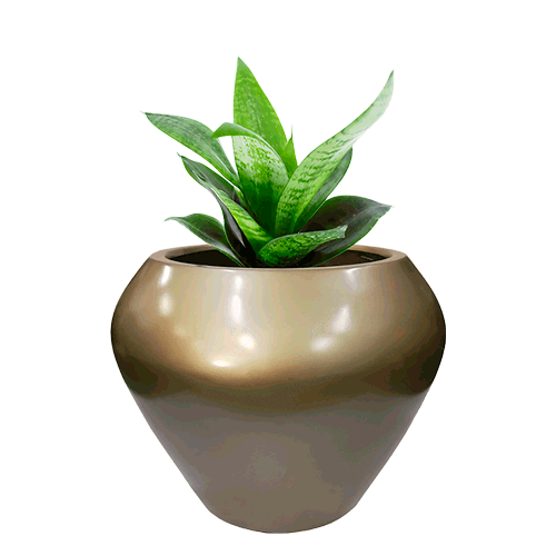 FiberPotxMacetas giphyupload maceta dissa fiberpotx Sticker