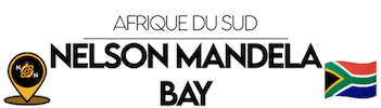 Bay Nelson Sticker by NoirNomads