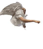 luisezuecker magic fly angel ready Sticker
