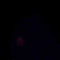 attack of the killer tomatoes horror movies GIF by absurdnoise