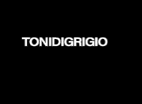 _tonidigrigio giphyupload tdg tonidigrigio GIF