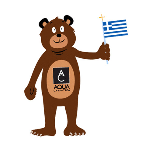 AQUACarpaticaGr bear bravo congratulations greece Sticker