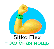 trytonby tryton тритон tryton by sitkoflex Sticker