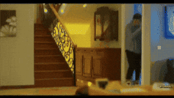 Brothers Bert GIF