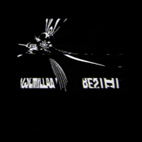 Coffee GIF by Semilla Agreste