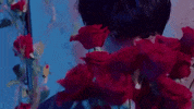 K Pop Alligator GIF by Monsta X