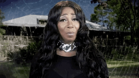 tiffany pollard GIF by VH1