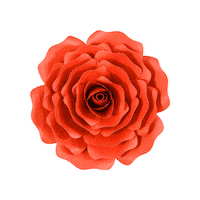 Party 花 Sticker by takanaga