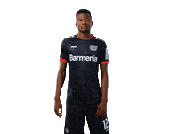 Bayer 04 Werkself Sticker by Bayer 04 Leverkusen