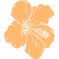 Aloe Vera Orange Sticker by Elfy Naturals