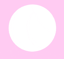 GIF by Penti