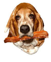 sallylongdog breakfast dinner snack lunch Sticker