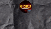 NOTshaxa not notshaxa not shaxa shaxa GIF