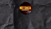 NOTshaxa notshaxa shaxa not shaxa not shaxa n1 GIF