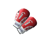 Martial Arts Boxing Sticker by Verve Taekwondo