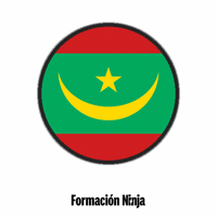 Flag Bandera GIF by Formación Ninja