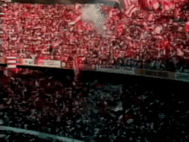 Beira-Rio Colorado GIF by Sport Club Internacional