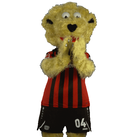 Clap Applause Sticker by Bayer 04 Leverkusen