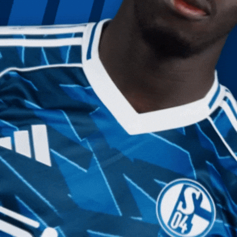 One Piece Football GIF by FC Schalke 04