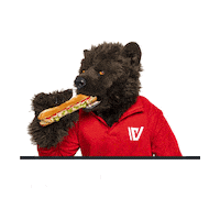 Beer Bear Sticker by Verhelst Group