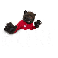 Beer Bear Sticker by Verhelst Group