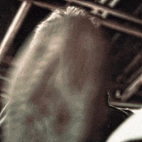 Superstar Rajinikanth Jailer GIF by RajiniGifs