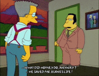 Season 2 Episode 22 GIF by The Simpsons