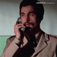 Italian Film GIF by Arrow Video