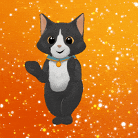 Taylor Swift Cat GIF by TeamKrikey