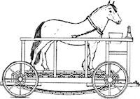 Car Horse GIF