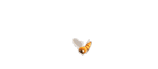 Surprise Bee Sticker