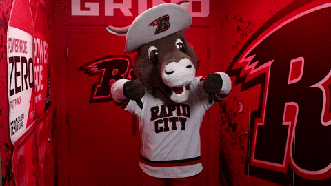 GIF by Rapid City Rush