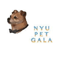 Corgi Sticker by NYU Faculty Housing