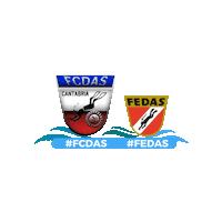 Buceo Sticker by FEDAS