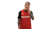Bayer Leverkusen Dj Sticker by Bundesliga