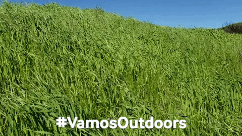 california spring GIF by Latino Outdoors