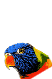 SAZOO bird san antonio zoo sazoo Sticker