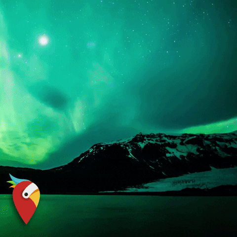 holidaypirates giphygifmaker travel adventure beautiful GIF