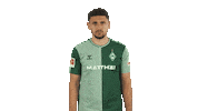 Werder Bremen Thinking Sticker by Bundesliga