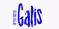 galisjewelry galisjewelry GIF