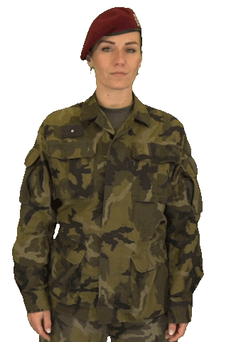 armadaceskerepubliky giphyupload really army listening Sticker